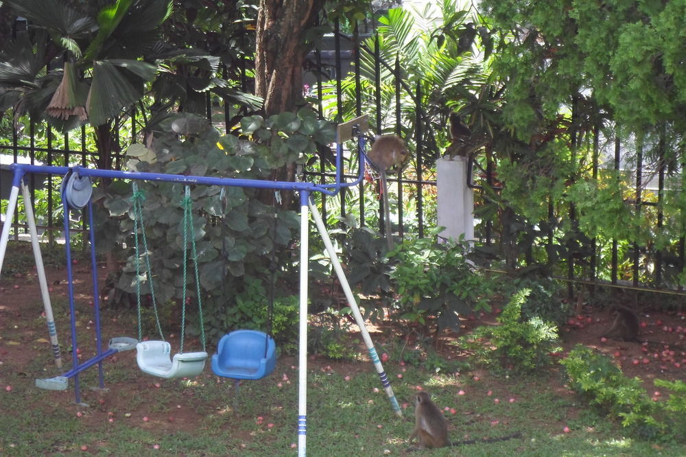 Kandy Green View Bungalow Экстерьер фото